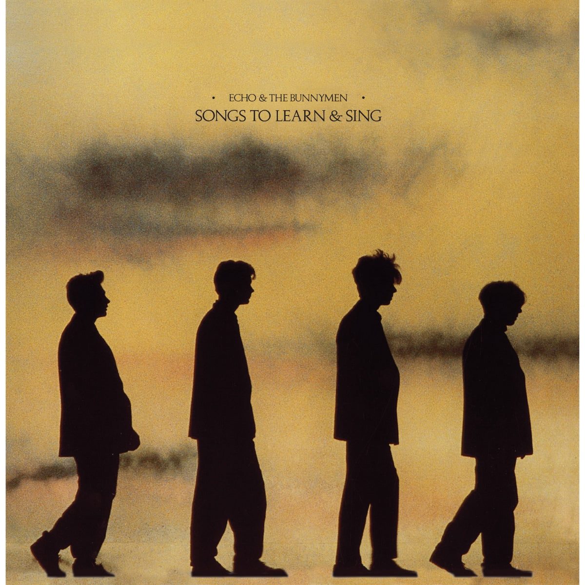 Echo & The Bunnymen - Songs To Learn & Sing (Yellow & Black Marble Vinyl LP) (Warner)