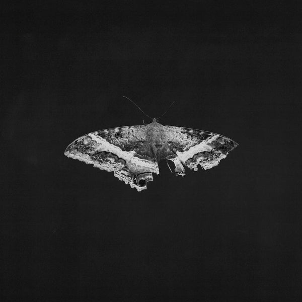 Kendrick Lamar - To Pimp A Butterfly (Exclusive 2 x 180g