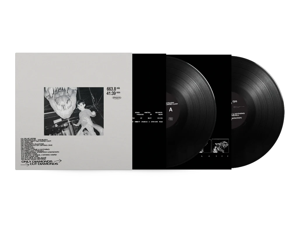 Vegyn - Only Diamonds Cut Diamonds (5 Year Anniversary Repress) (2 x 180g Vinyl LP) (PLZ Make It Ruins)