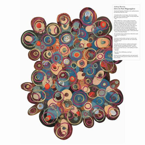 Anthony Manning - Islets In The Pink Polypropylene  (Black Vinyl LP Half Speed Mastering)(Mental Groove Records)