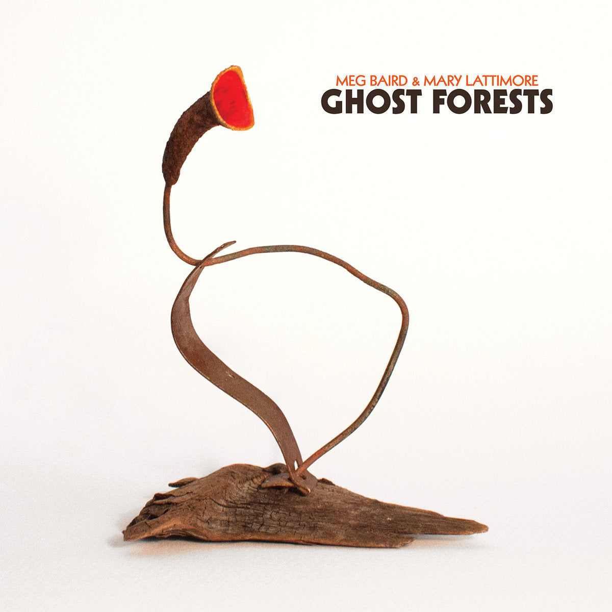 Meg Baird & Mary Lattimore - Ghost Forests (Indie Only Coloured Vinyl) (Three Lobed Records)