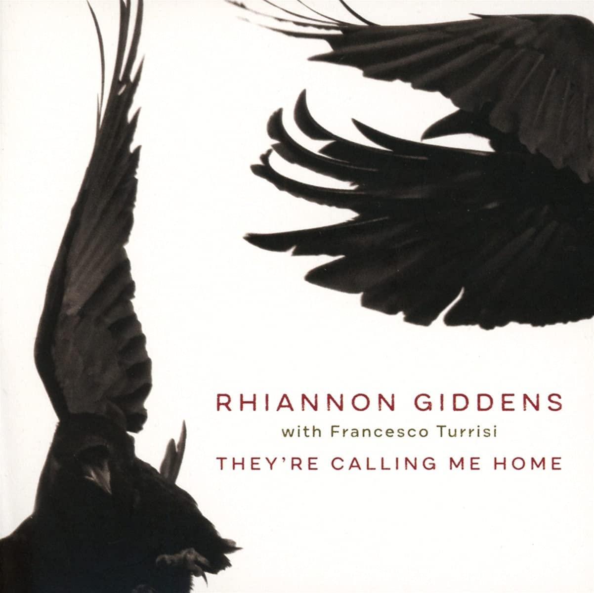 Rhiannon Giddens - They're Calling Me Home (Vinyl LP) (Nonesuch)