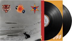 The Beta Band - The Three EPs (Limited 2 x 180g Vinyl LP - 2025 Repress) (Because)
