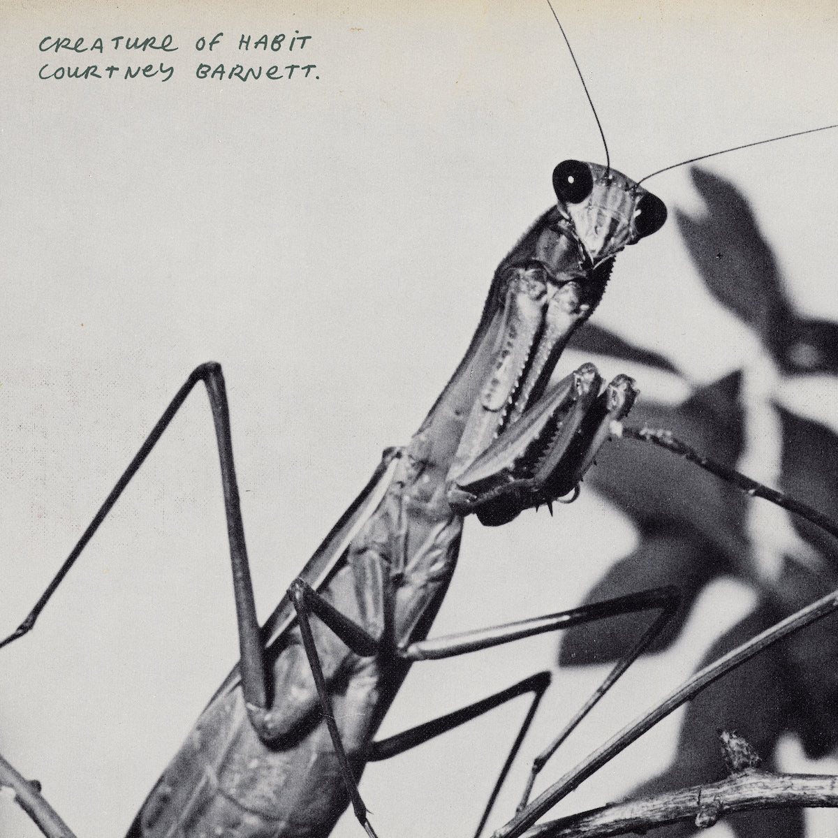 Courtney Barnett - Creature Of Habit (Caramel Coloured Vinyl) (Fiction Records)