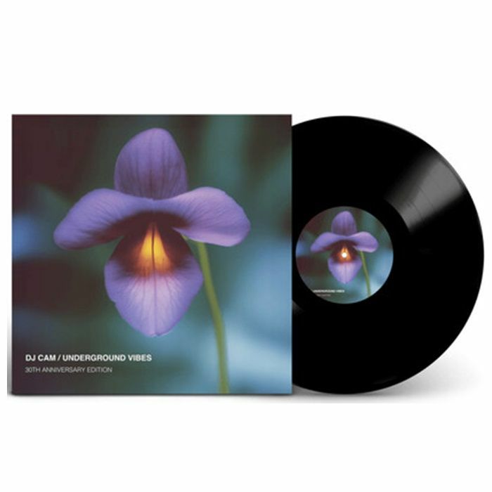 DJ Cam - Underground Vibes (30th Anniversary Vinyl LP) (Diggers Factory)