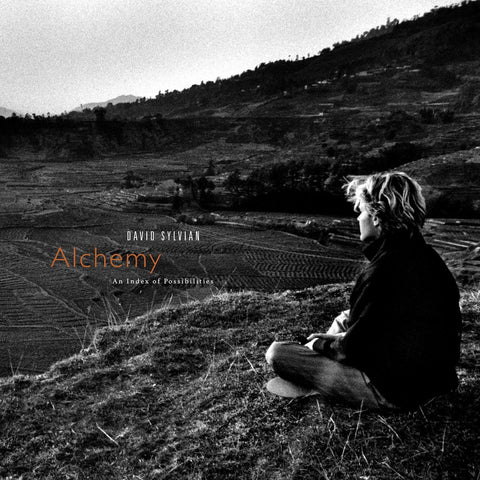 David Sylvian - Alchemy: An Index Of Possibilities (Corona Gold Opaque Red Vinyl LP) (Integral Distribution Services)