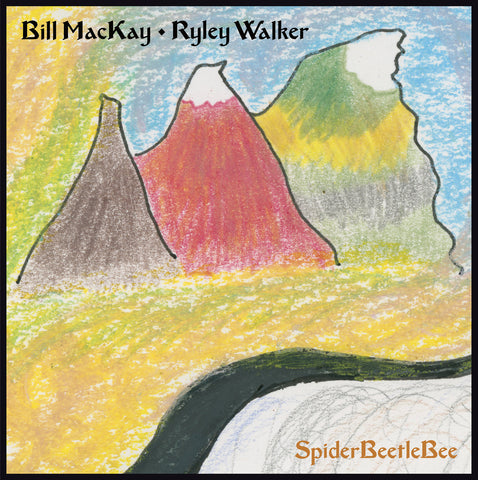 Bill Mackay & Ryley Walker - SpiderBeetleBee